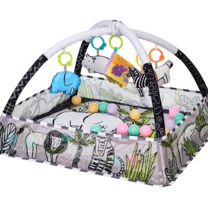 Γυμναστήριο Δραστηριοτήτων Jungle Με 18 Μπαλάκια Kikka Boo