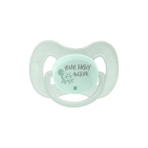 Πιπίλα 0-6 μηνών Turtley Awesome Μέντα 2 τεμ. - Kikka Boo