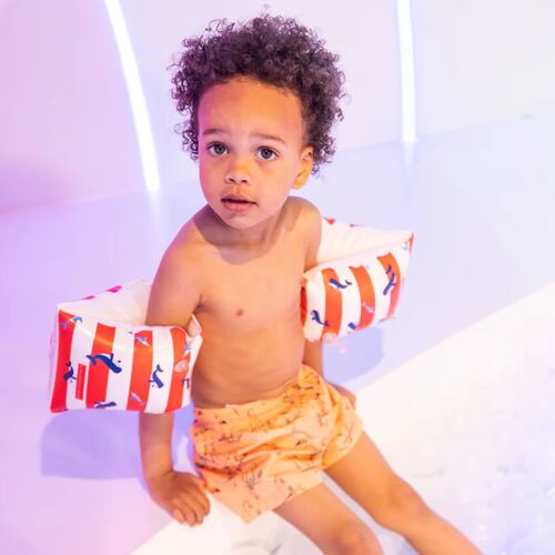 Swim Essentials: Μπρατσάκια Για Παιδιά Από 2-6 ετών - "Red-White Whale" Swim Essentials: Μπρατσάκια Για Παιδιά Από 2-6 ετών - "Red-White Whale"