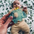 Akuku Μασητικό Οδοντοφυΐας Ελέφαντας Mε Νερό