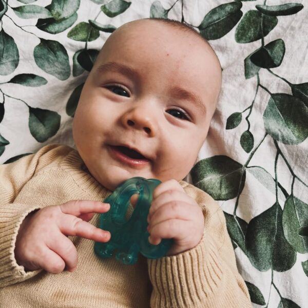 Akuku Μασητικό Οδοντοφυΐας Ελέφαντας Mε Νερό