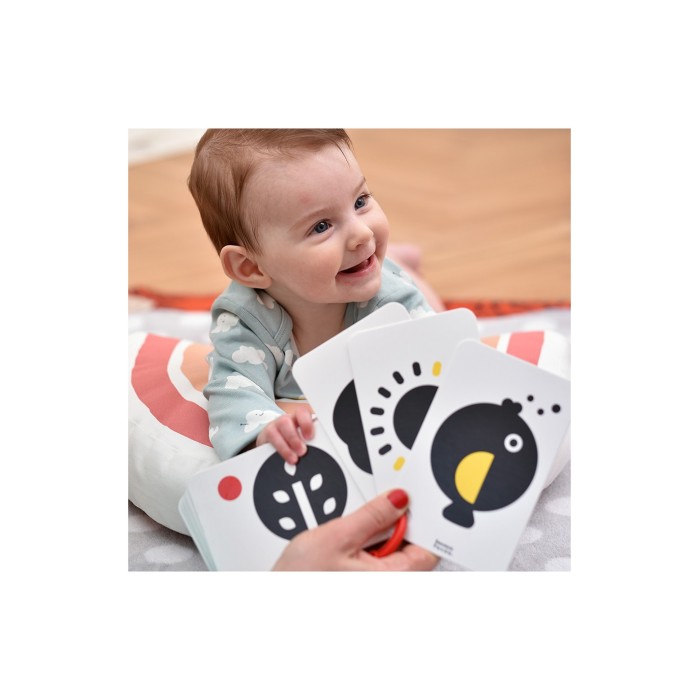 Banana Panda Βρεφικές Κάρτες Υψηλής Αντίθεσης High Contrast Flash Cards On A Ring