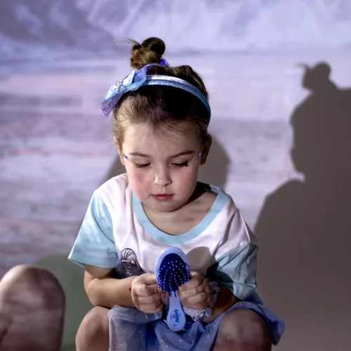 Disney Frozen Royal Στέκα Μαλλιών 2τμχ Disney Frozen Royal Στέκα Μαλλιών 2τμχ