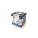 Φωτάκι Νυκτός Αγκαλιάς Shakies Κουνελάκι Pabobo Φωτάκι Νυκτός Αγκαλιάς Shakies Κουνελάκι Pabobo