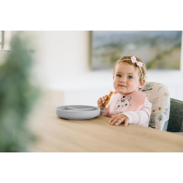 FreeOn Πιάτο Σιλικόνης με Χωρίσματα Γκρι FreeOn Πιάτο Σιλικόνης με Χωρίσματα Γκρι