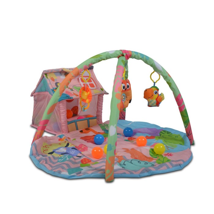 Γυμναστήριο Δραστηριοτήτων Χαρούμενη Φάρμα Ροζ Cangaroo Γυμναστήριο Δραστηριοτήτων Χαρούμενη Φάρμα Ροζ Cangaroo