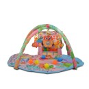 Γυμναστήριο Δραστηριοτήτων Χαρούμενη Φάρμα Ροζ Cangaroo Γυμναστήριο Δραστηριοτήτων Χαρούμενη Φάρμα Ροζ Cangaroo