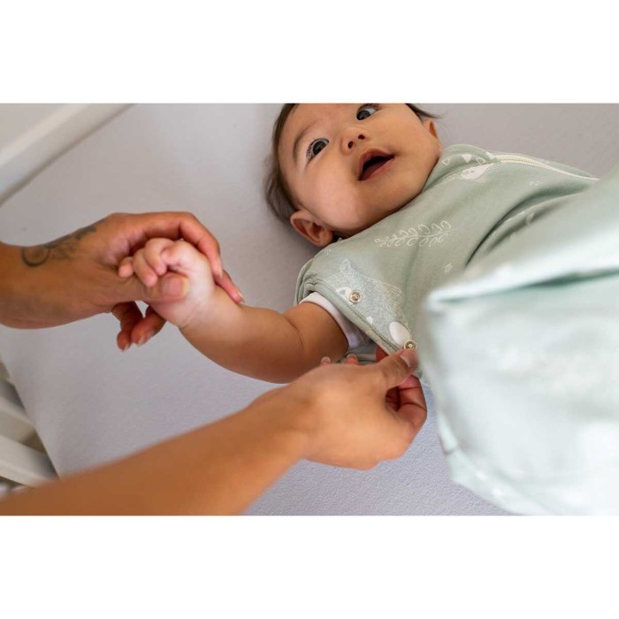 Gro Swaddle bag Υπνόσακος Χειμωνιάτικος 2.5 tog 3-6 μηνών Woodland Gro Swaddle bag Υπνόσακος Χειμωνιάτικος 2.5 tog 3-6 μηνών Woodland