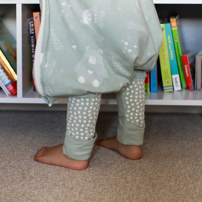 Grobag Steppee Υπνόσακος Χειμωνιάτικος 2.5 tog 6-18 μηνών Woodland Grobag Steppee Υπνόσακος Χειμωνιάτικος 2.5 tog 6-18 μηνών Woodland