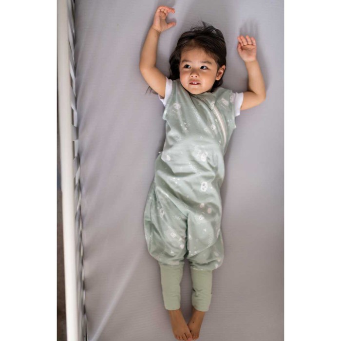 Grobag Steppee / Υπνόσακος Χειμωνιάτικος 2.5 tog 18-36 μηνών Woodland Grobag Steppee / Υπνόσακος Χειμωνιάτικος 2.5 tog 18-36 μηνών Woodland