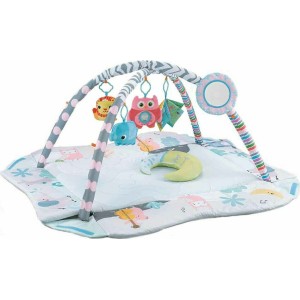 Γυμναστήριο Δραστηριοτήτων Oasis Grey Cangaroo