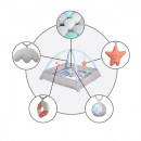 Γυμναστήριο Δραστηριοτήτων Unicorn Ladida Cangaroo