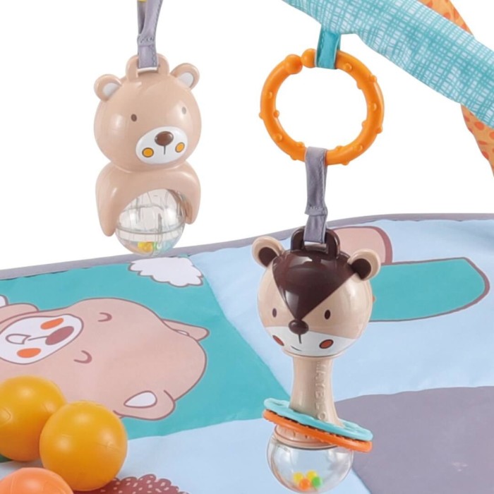 Γυμναστήριο – Χαλάκι Δραστηριοτήτων Picnik Bebe Stars