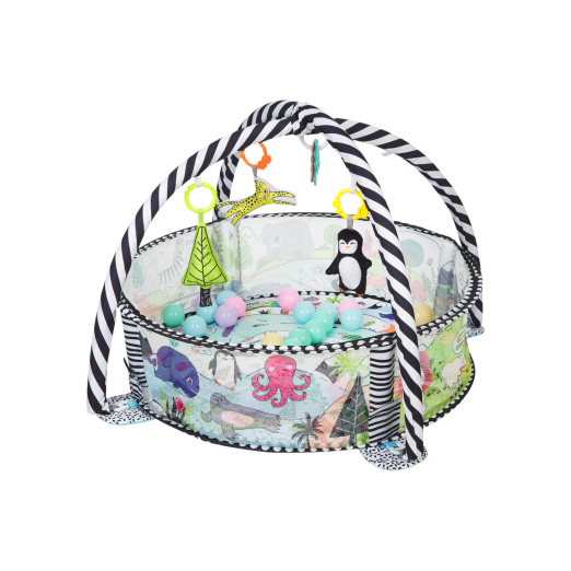 Γυμναστήριο Δραστηριοτήτων Animals World Με 30 Μπαλάκια Kikka Boo