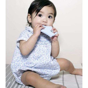 Μασητικό Οδοντοφυίας Βασιλικό Mωρό Μπλε Nibbling