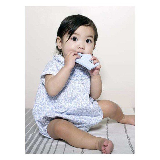 Μασητικό Οδοντοφυίας Βασιλικό Mωρό Μπλε Nibbling