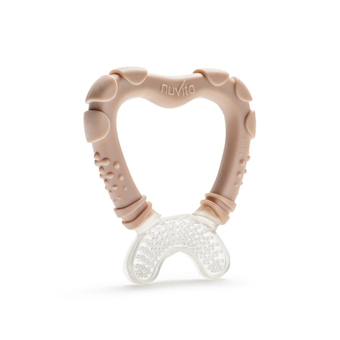 Μασητικό Οδοντοφυΐας 7006 English Rose Nuvita