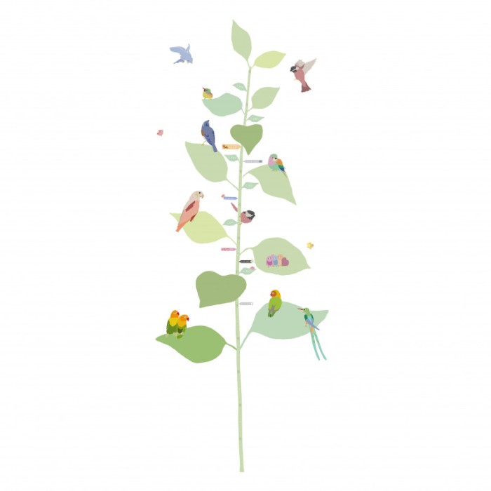 Mimi'lou Αυτοκόλλητο Τοίχου Aναστημόμετρο With The Birds Mimi'lou Αυτοκόλλητο Τοίχου Aναστημόμετρο With The Birds