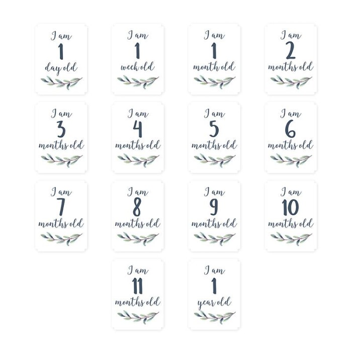 Μουσελίνα Φωτογράφισης Hello World Lulujo Μουσελίνα Φωτογράφισης Hello World Lulujo