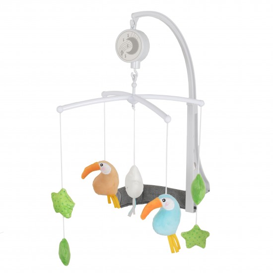 Μουσικό Περιστρεφόμενο Παιχνίδι Dreamy Green