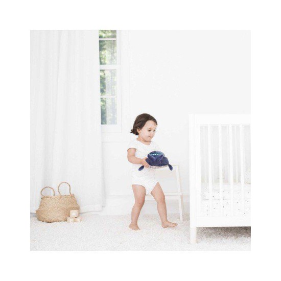 Προβολέας Με Ήχους Aqua Dream Pabobo