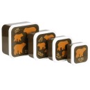 Σετ 4 Δοχεία Φαγητού Μεσημεριανό & Σνακ Αρκουδάκια A little lovely company