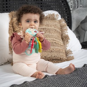 Σόφι Καμηλοπάρδαλη Ηλεκτρονική Κουδουνίστρα Με Ηχο Και Φως Σόφι Καμηλοπάρδαλη Ηλεκτρονική Κουδουνίστρα Με Ηχο Και Φως