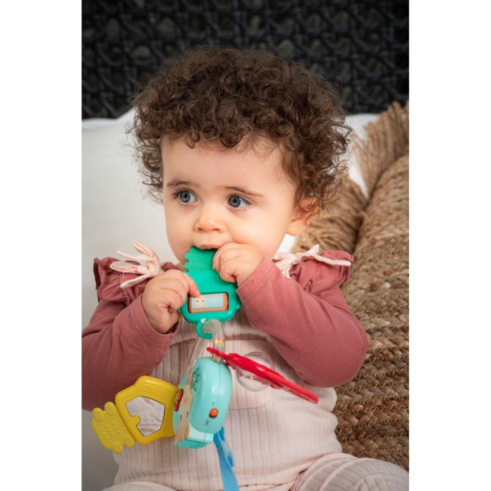 Σόφι Καμηλοπάρδαλη Ηλεκτρονική Κουδουνίστρα Με Ηχο Και Φως Σόφι Καμηλοπάρδαλη Ηλεκτρονική Κουδουνίστρα Με Ηχο Και Φως