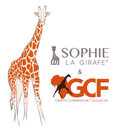 Σόφι καμηλοπάρδαλη Σετ δώρου "Save Giraffes" Σόφι καμηλοπάρδαλη Σετ δώρου "Save Giraffes"