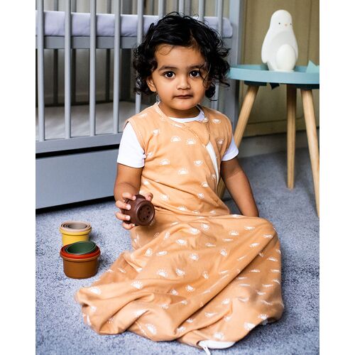 GroBag Υπνόσακος 2.5 tog χειμωνιάτικος 18-36 μηνών Sunshine Rays GroBag Υπνόσακος 2.5 tog χειμωνιάτικος 18-36 μηνών Sunshine Rays